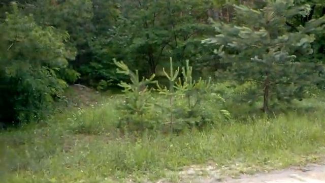 Червона калина смотреть онлайн