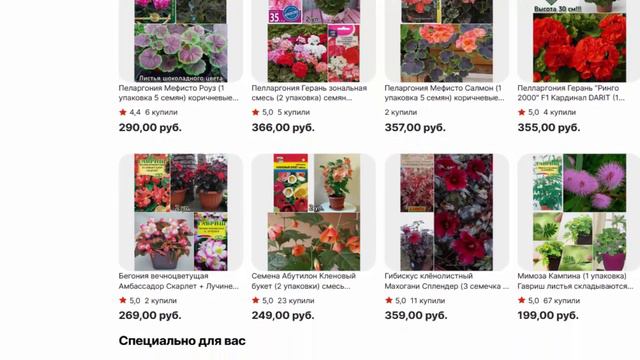 Пелларгония Герань Ринго 2000 F1 Смесь сортов DARIT смотреть онлайн