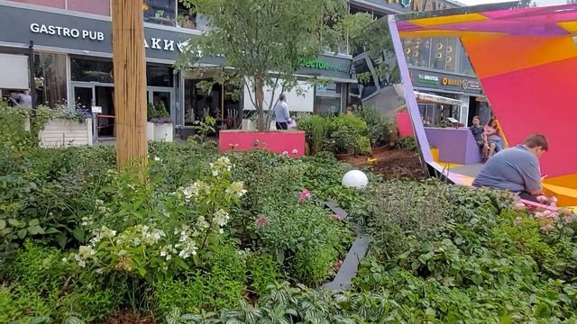 Москва. Арбат"Цветочный джем 2022 г. Турецкие сладости #цветынаАрбате #магазинсладостейТурции смотреть онлайн