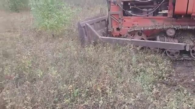 ДТ 75&Ася200I/корчевка деревьев#51 смотреть онлайн