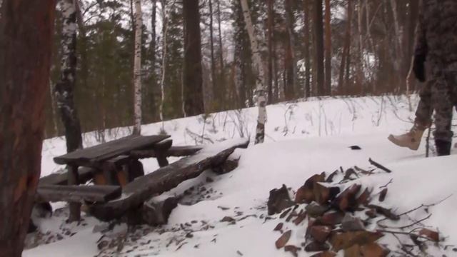 В сказку зимнего леса смотреть онлайн