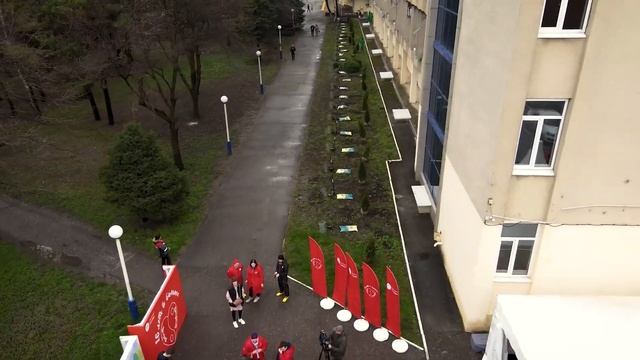 Нас опять наняли посадить корпоративную аллею в Краснодаре смотреть онлайн