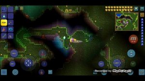 Как получить золотые сердечки? Фрукт жизни | Terraria