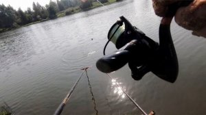 Ловля карпа. Лагуна. Еганово.