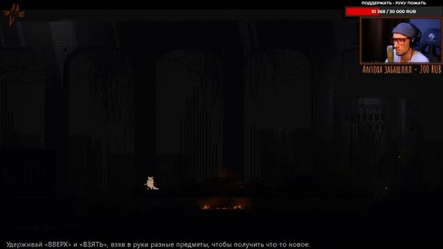 СТРИМ | Rain World: Downpour смотреть онлайн