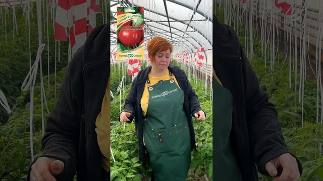 ПОДВЯЗЫВАТЬ ИЛИ НЕТ? смотреть онлайн