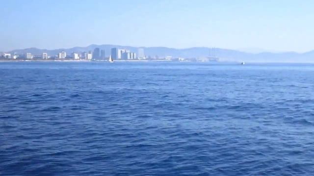 Dolphins Port Olimpic Barcelona смотреть онлайн