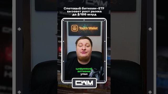 Спотовый биткоин-ETF вызовет рост рынка до $100 млрд. смотреть онлайн