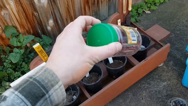 LETS MAKE "AMAZON SUPER SOIL", and PLANT JACK'S BEANSTALK! смотреть онлайн