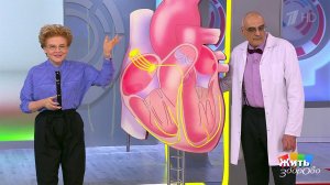 Жить здорово! Выпуск от 18.01.2019