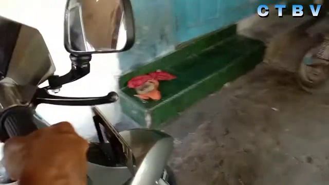pripare VWD BALI di servis dulu excel #VWD #vespabali #vespabanyuwangi #vespaindonesia смотреть онлайн