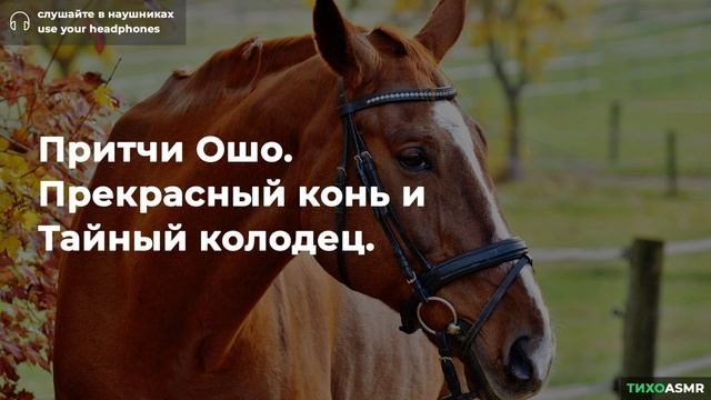 Притчи Ошо. Прекрасный конь и Тайный колодец | Тихая речь | АСМР/ASMR для сна и релаксации смотреть онлайн