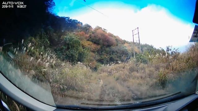 【廃道‼廃トンネル】泥だらけキズだらけオフロードフリードで行く明治の廃隧道！スペアタイヤは二本要ります！国道8号旧道廃道区間废弃隧道　Abandoned tunnel　Abandoned road смотреть онлайн