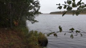 Нашёл зону ГУЛАГа. Вишерские лагеря. Где погибали Кулаки.