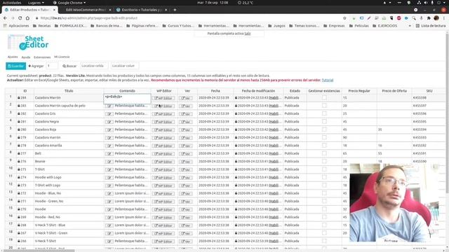 Gestionar productos, stock e inventario de WooCommerce como un Excel ⭐⭐ смотреть онлайн