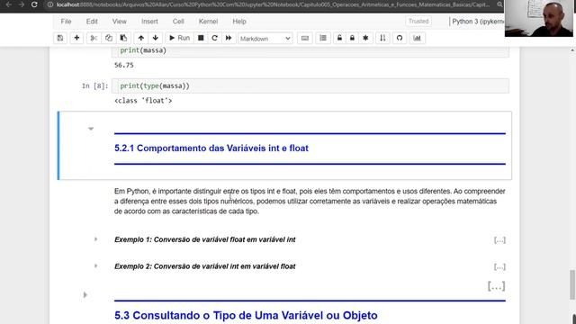 Variáveis INT e FLOAT em Python (CPyJN) смотреть онлайн