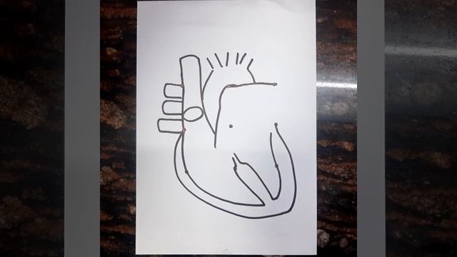 9 Dots की मदद से Human Heart Diagram Drawing // How to Draw Human Heart Diagram // Human Heart смотреть онлайн