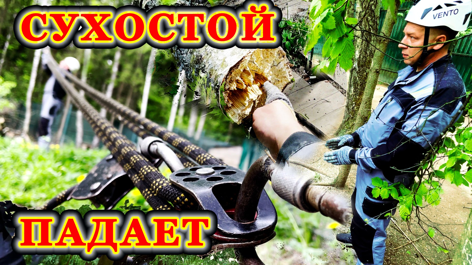 Удаляем сухие деревья системой полиспаст. смотреть онлайн