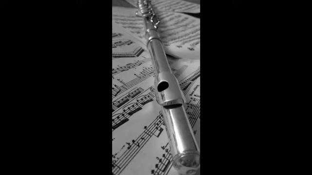 Klavier by Rammstein (Flute and Piano) смотреть онлайн