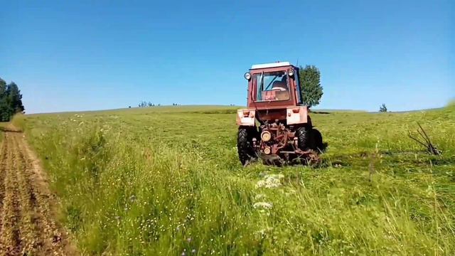 Ассорти из крестянских работ в горячую пору. смотреть онлайн