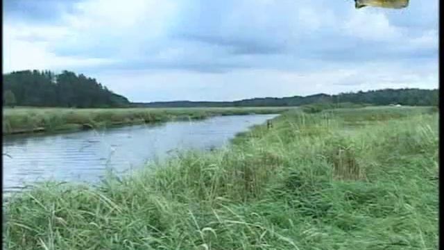 Клевое место №6 (Волхов и Луга) смотреть онлайн