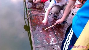 Ловить раков на удочку просто, но нужна сноровка!