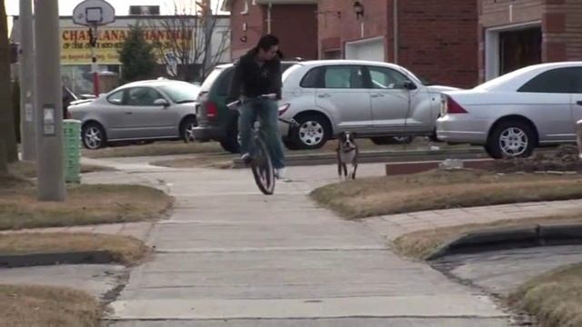 DIY dog bicycle attachment смотреть онлайн