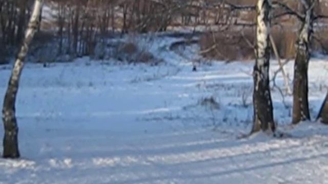 Эх вы сани,мои сани! смотреть онлайн