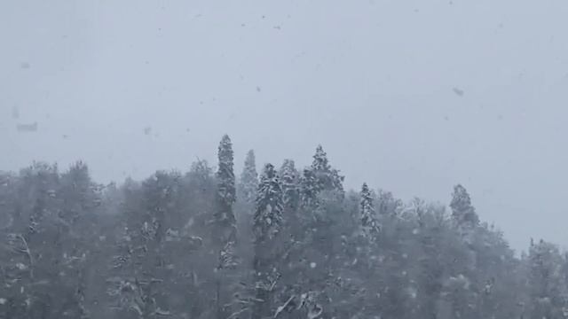 12 марта 2023 г. смотреть онлайн