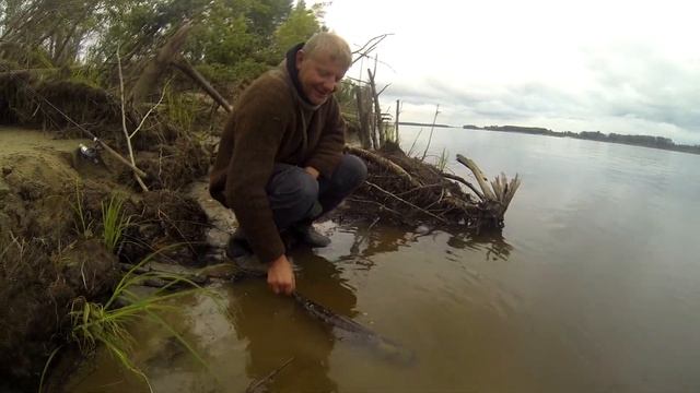 Путешествие Новосибирск - Сургут по Оби. 2017г. смотреть онлайн