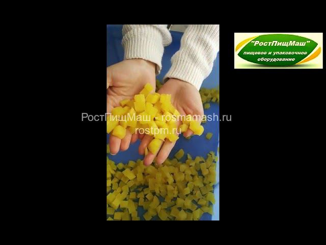 Нарезка кубиком овощей и фруктов CD-1500 от РостПищМаш смотреть онлайн