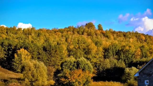 Прекрасный город И его окресности смотреть онлайн