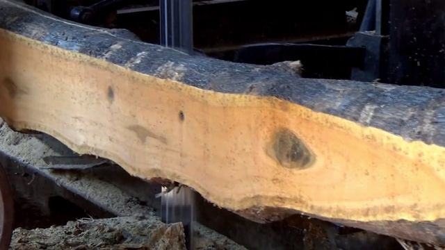 Dibandrol harga di atas rata-rata.sebab kayu jati ini miliki serat langka yang di incar dunia.sawmi смотреть онлайн