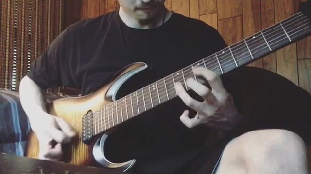 After The Burial - 11/26 guitar riff - Ibanez RGA742FM смотреть онлайн