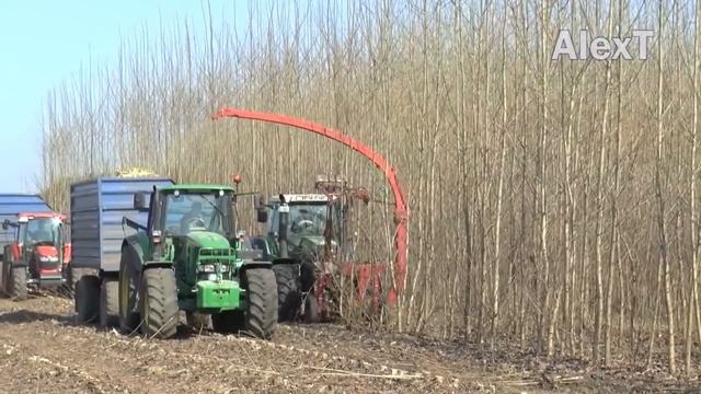Powerful Big Tree Harvester Working, Amazing Giant Excavator Cutting Tree, Fast Tree Removal Machin смотреть онлайн