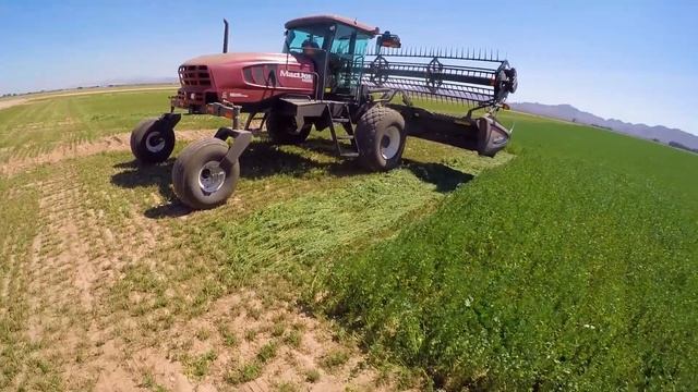 MacDon M205, D-65D Draper, Warmup and Cutting Alfalfa смотреть онлайн
