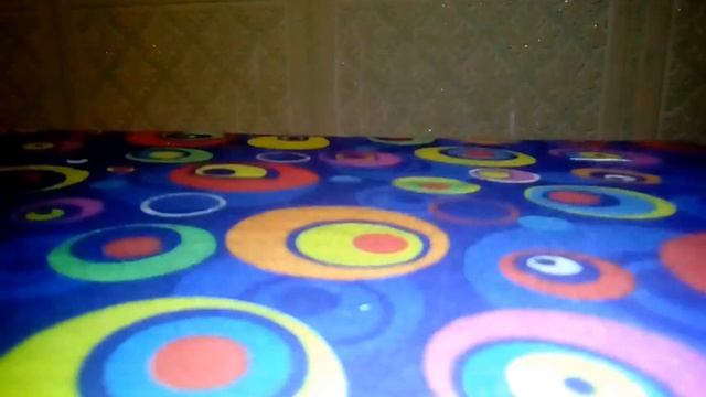 Киви шоу а Софии часть 2 смотреть онлайн