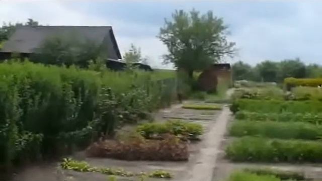 Уголок родной земли смотреть онлайн