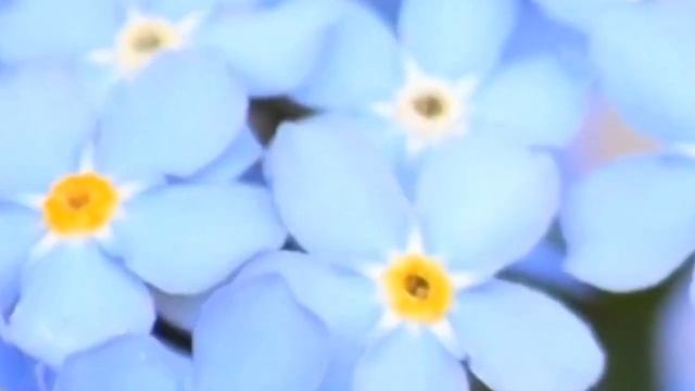 Вишудха Чакра Медитация | 5 Чакра | Созерцание | Гармонизация | Сила в энергии | Баланс | Горловая смотреть онлайн
