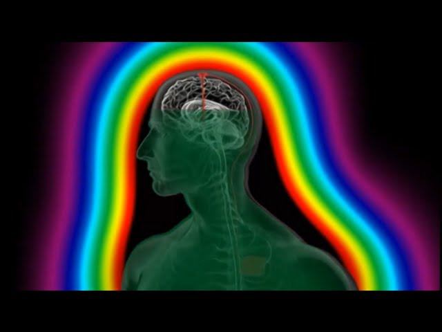 Что происходит с организмом после употребления наркотиков? смотреть онлайн