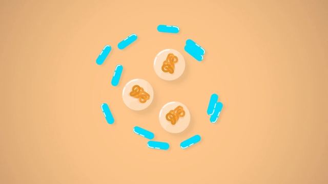 Digestive System, Part 3: Crash Course Anatomy & Physiology #35 смотреть онлайн