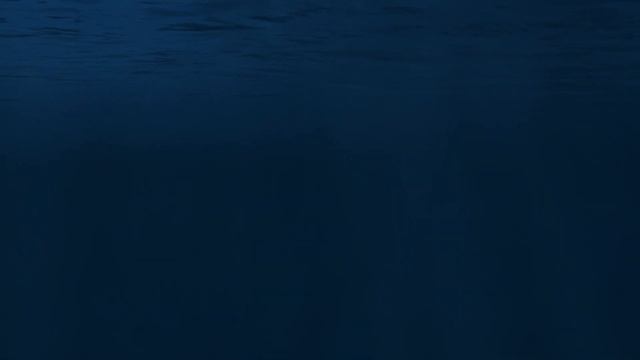 Have you heard whales singing? WHALES SOUNDS underwater. 100% presence. смотреть онлайн