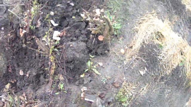 огородные дела продолжаем смотреть онлайн