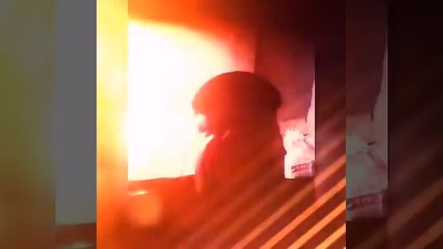 Лесные братья смотреть онлайн