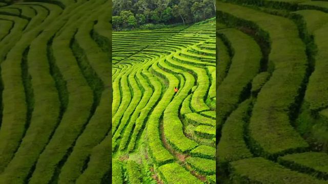 ЖИВИ СЕЙЧАС. ЖИВИ НАСТОЯЩИМ. смотреть онлайн