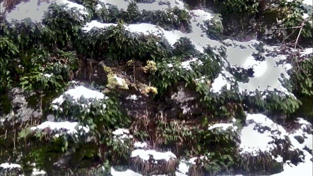 Jean Francois de Guise - Septet for Flute, Bassoon, Horn, Piano and String Trio смотреть онлайн