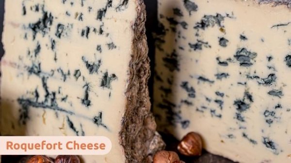 What are fungi? - The Fungi Kingdom for kids