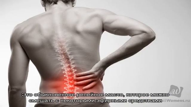 Масло для волос: какое лучше для каждого типа локонов? смотреть онлайн