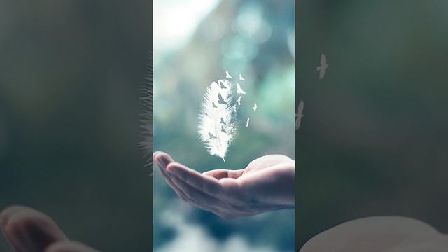 Прикосновение Души