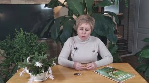 СТЕКЛЯННИЦА - НЕВИДИМЫЙ ВРАГ УНИЧТОЖАЕТ СМОРОДИНУ / Садовый гид